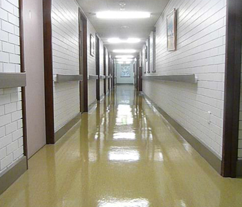 Child Care Cleaning QLD, Office Cleaning Ningi, Commercial Cleaning Sandstone Point, Strapping & Sealing Bribie Island